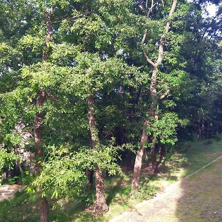 Europroperties Nikea Park